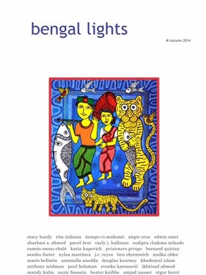 cover image of Bengal Lights